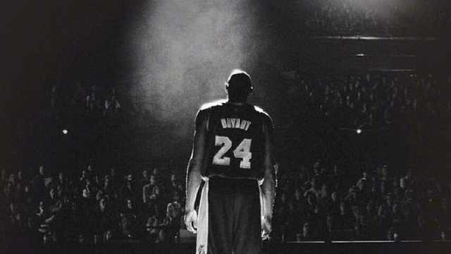 单用户贡献 单用户贡献